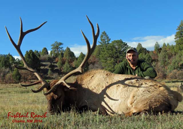 Elk Hunting Photo Gallery at Fishtail Ranch