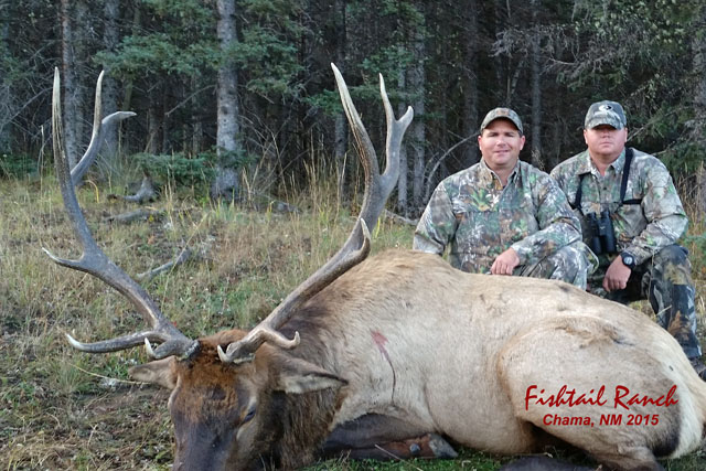 Elk Hunting Photo Gallery at Fishtail Ranch