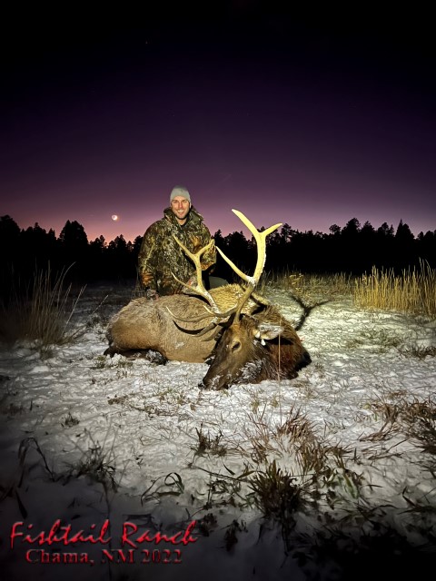 Elk Hunting Photo Gallery at Fishtail Ranch