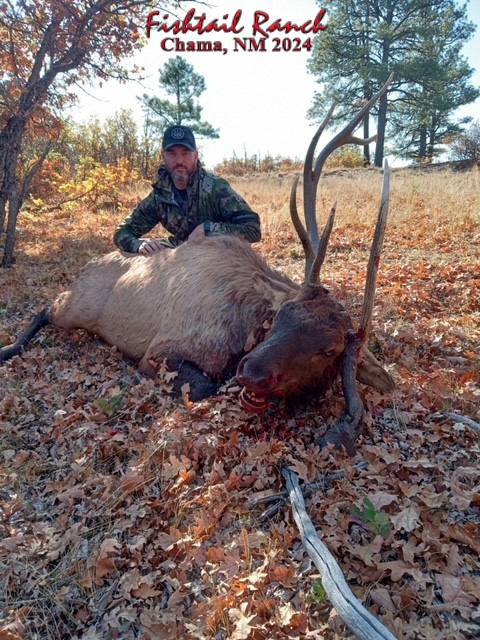 2024 Elk Hunting Photo Gallery at Fishtail Ranch