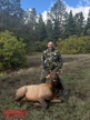 Jose Perez Jr 2026 Rifle